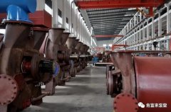 海口逸凡企业文化与发展有限公司被评为2019年度三水区骨干企业